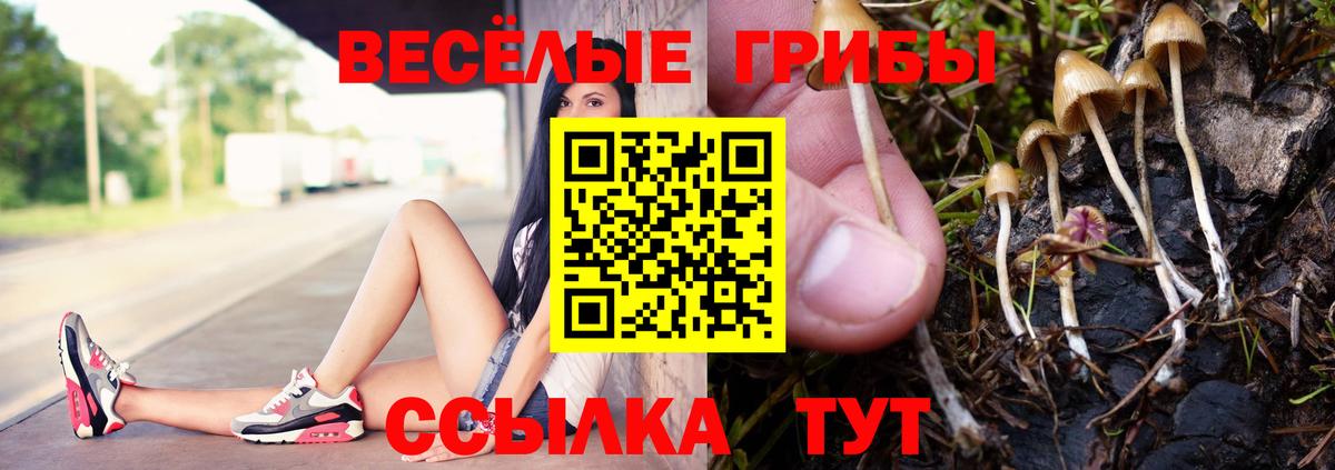 Псилоцибиновые грибы Cubensis  Вход с VPN  Асино  Псилоцибиновые грибы мицелий 