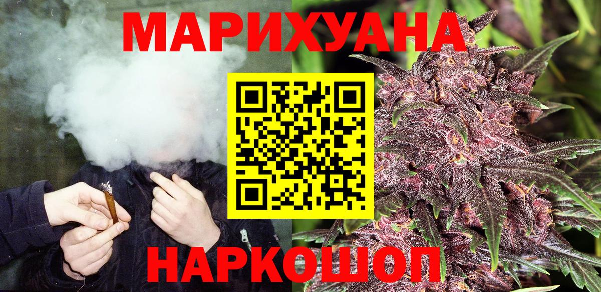 Бошки Шишки план Асино